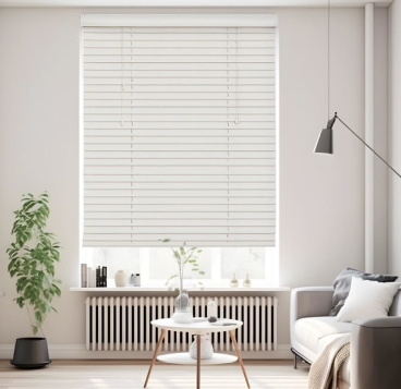 Venetian Blinds